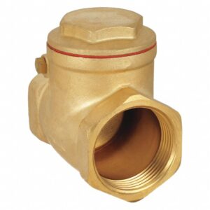 DOUBLE LINE BRASS CHECK VALVE 1-1/4"