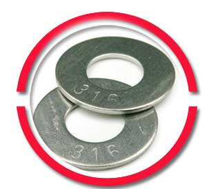 SS WASHER 10 MM A4-70 316GR